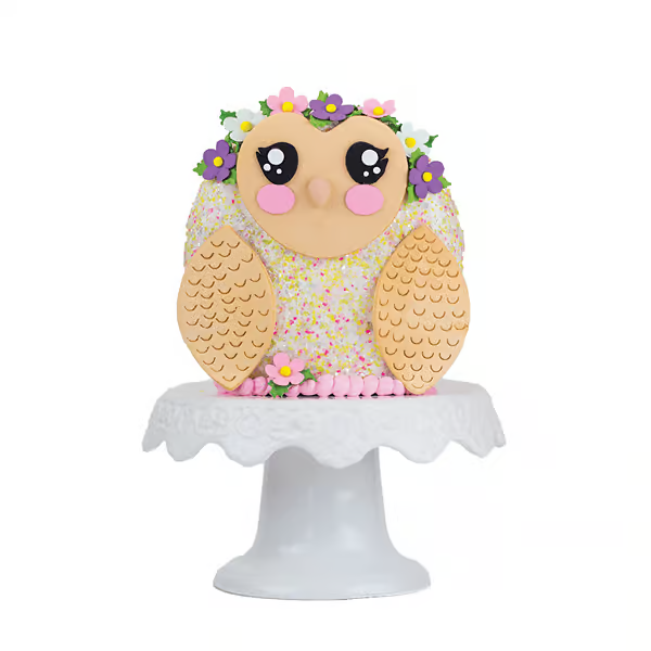 Spring Owl Designer Cake Decor