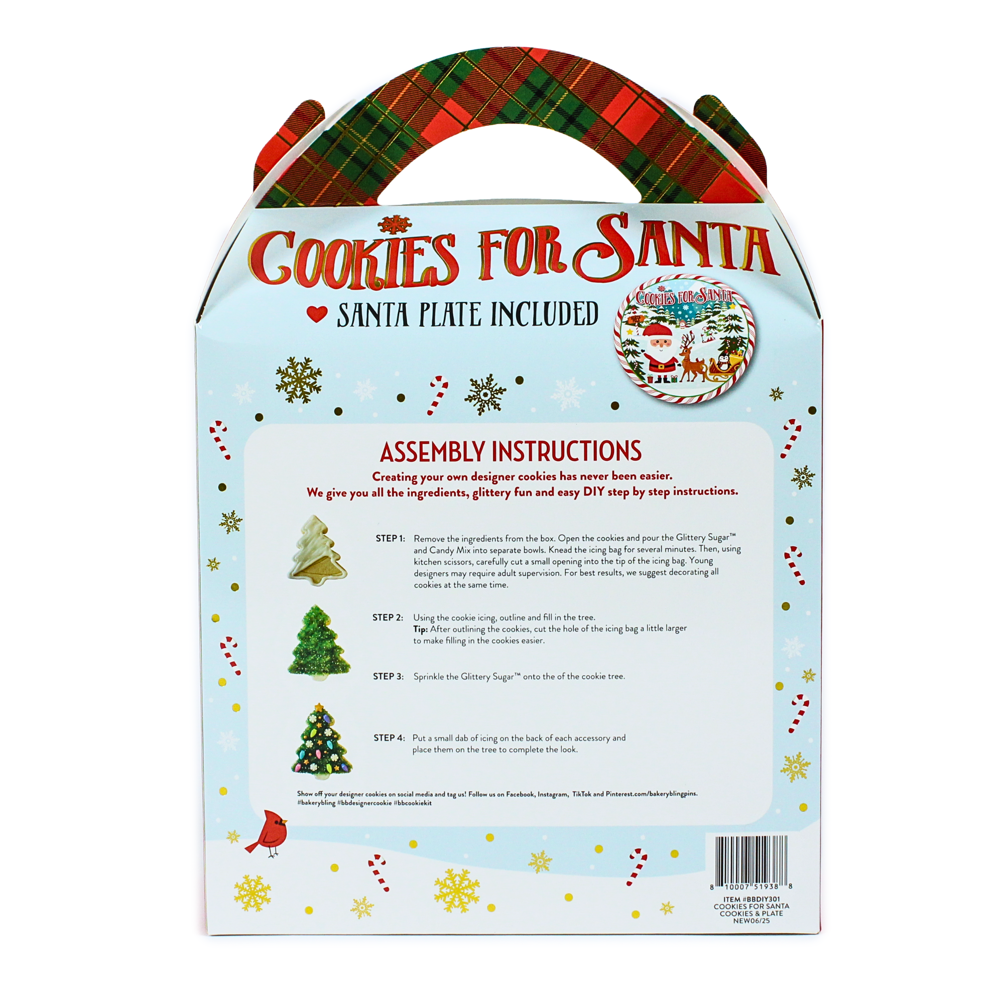 Christmas Cookie Decorating Kit with Plate for Santa