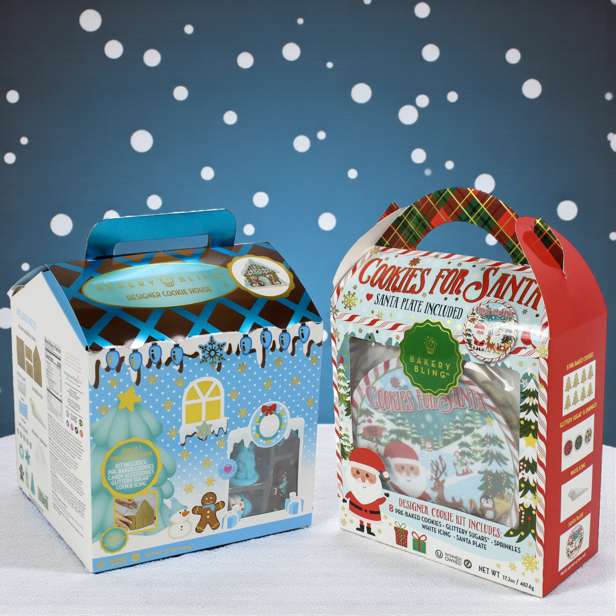 Christmas Cookie Decorating Kit with Plate for Santa