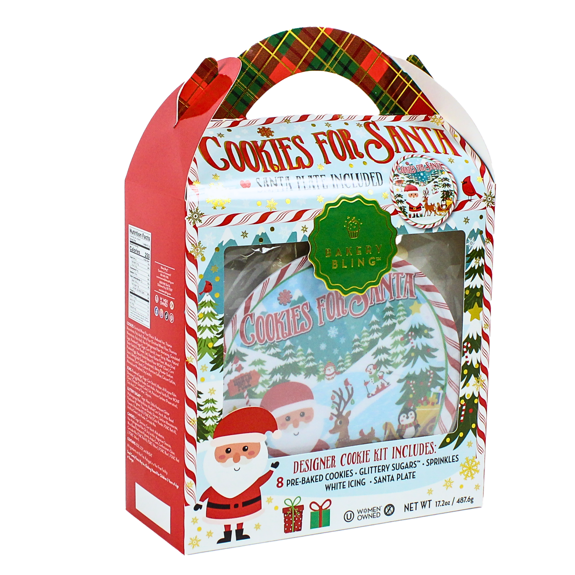 Christmas Cookie Decorating Kit with Plate for Santa