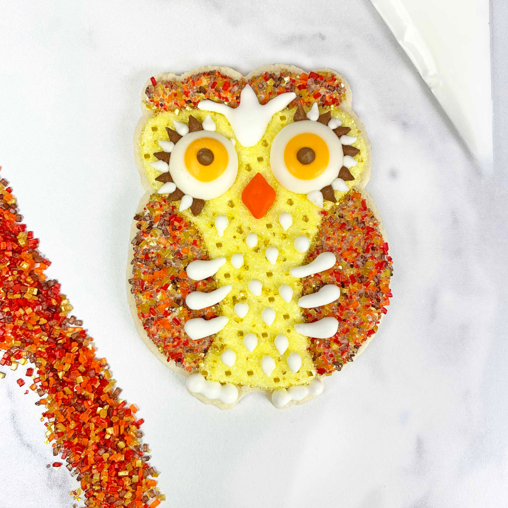 Double the Fall Fun! 2 Owl Cookie kits for a great price!