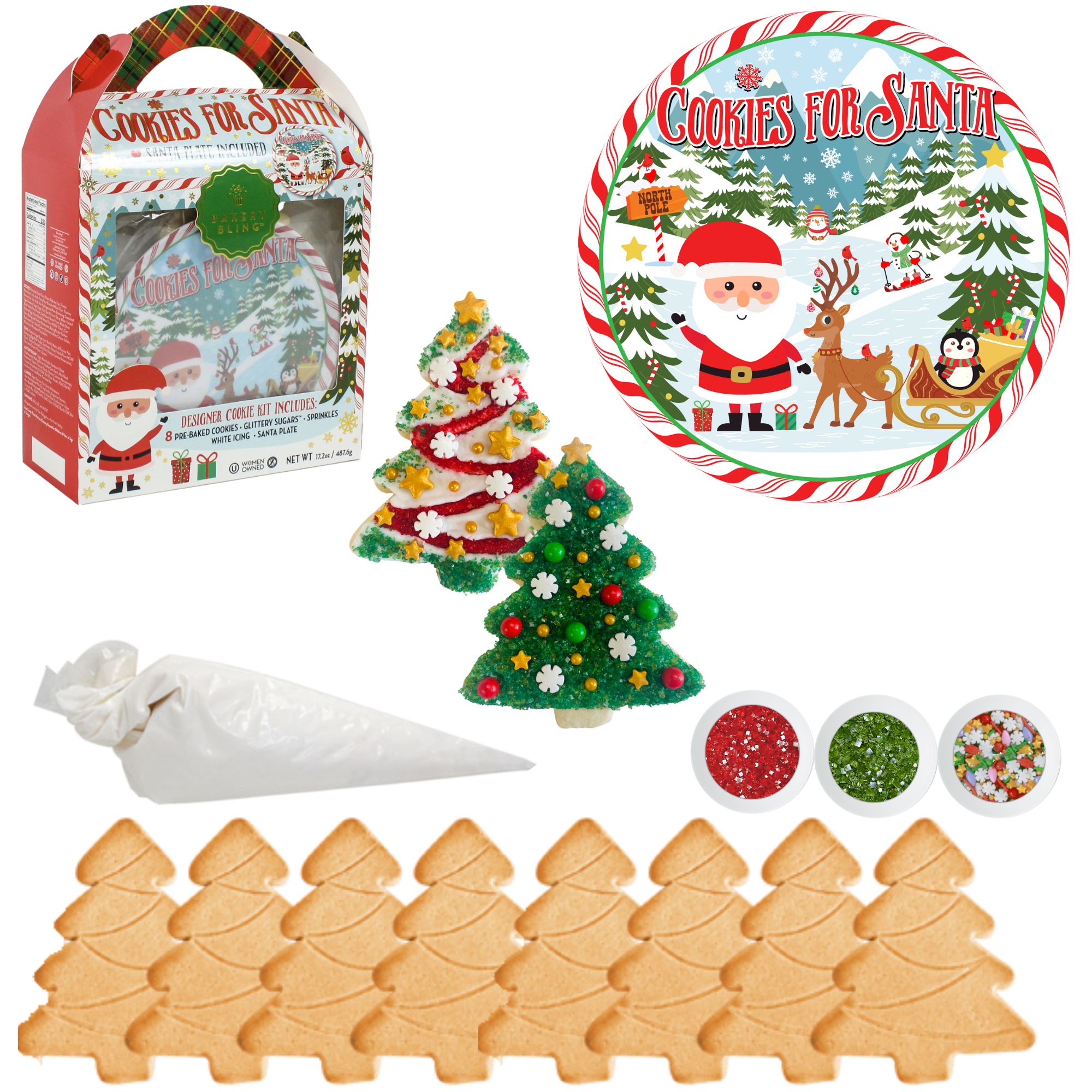 Christmas Cookie Decorating Kit with Plate for Santa