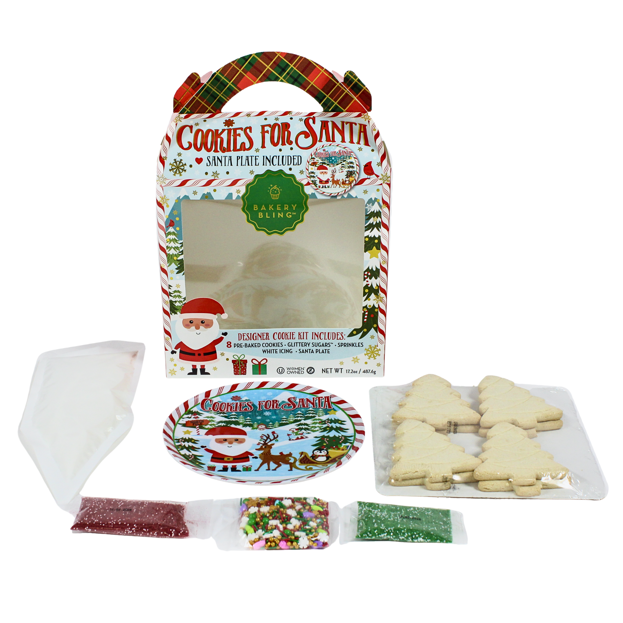 Christmas Cookie Decorating Kit with Plate for Santa