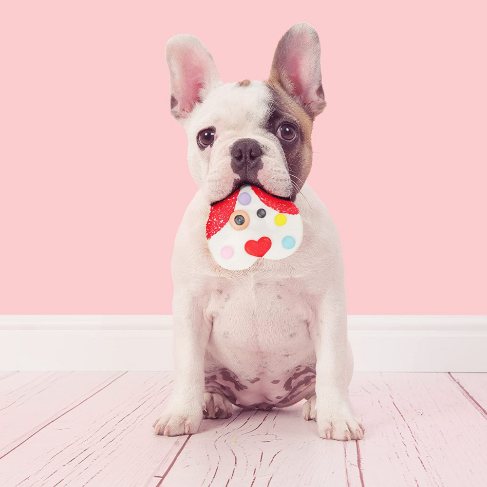 Puppy Love Designer Cookie Kit