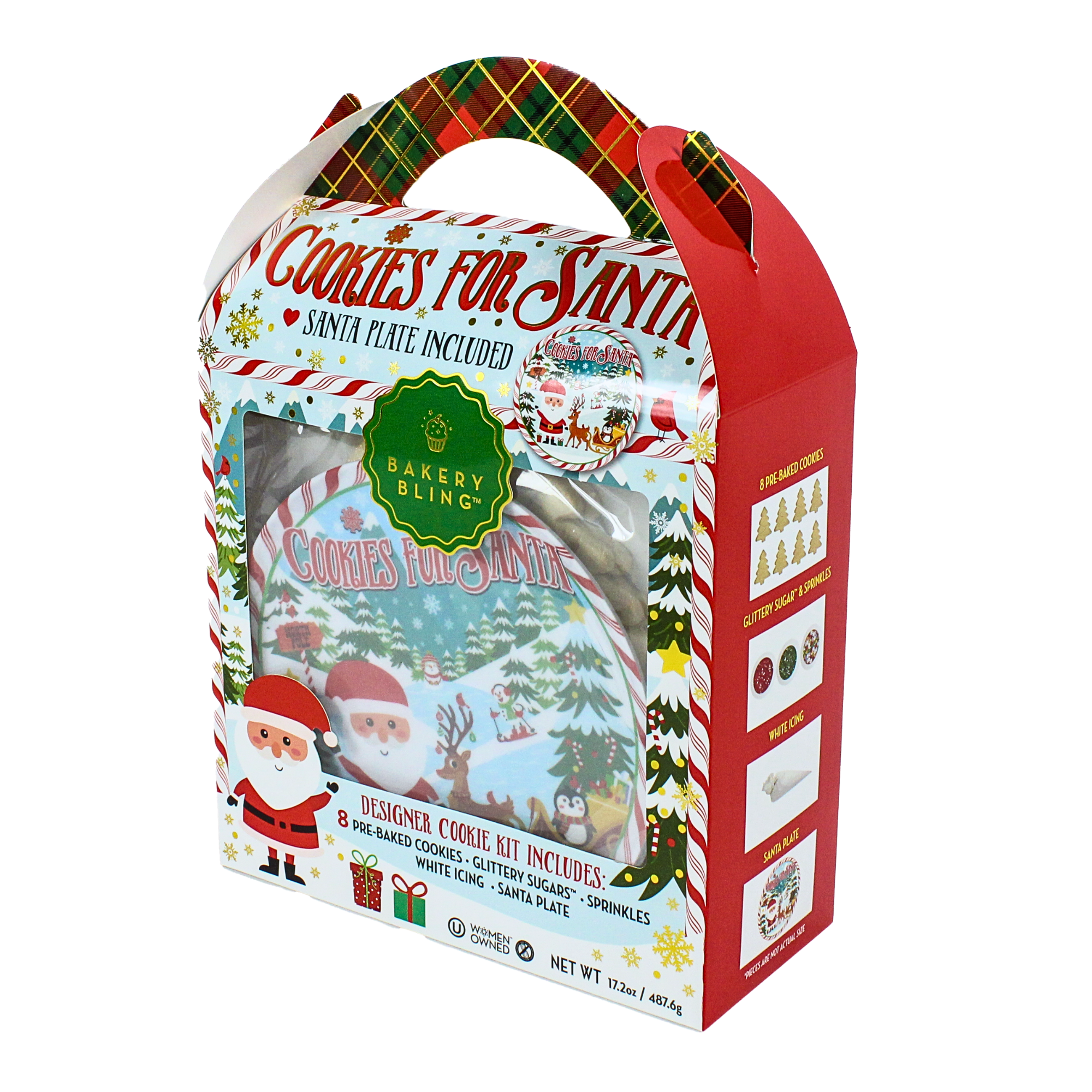 Christmas Cookie Decorating Kit with Plate for Santa