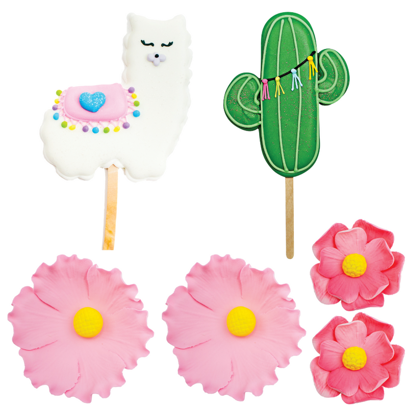 Cactus Llama Designer Cake Decor