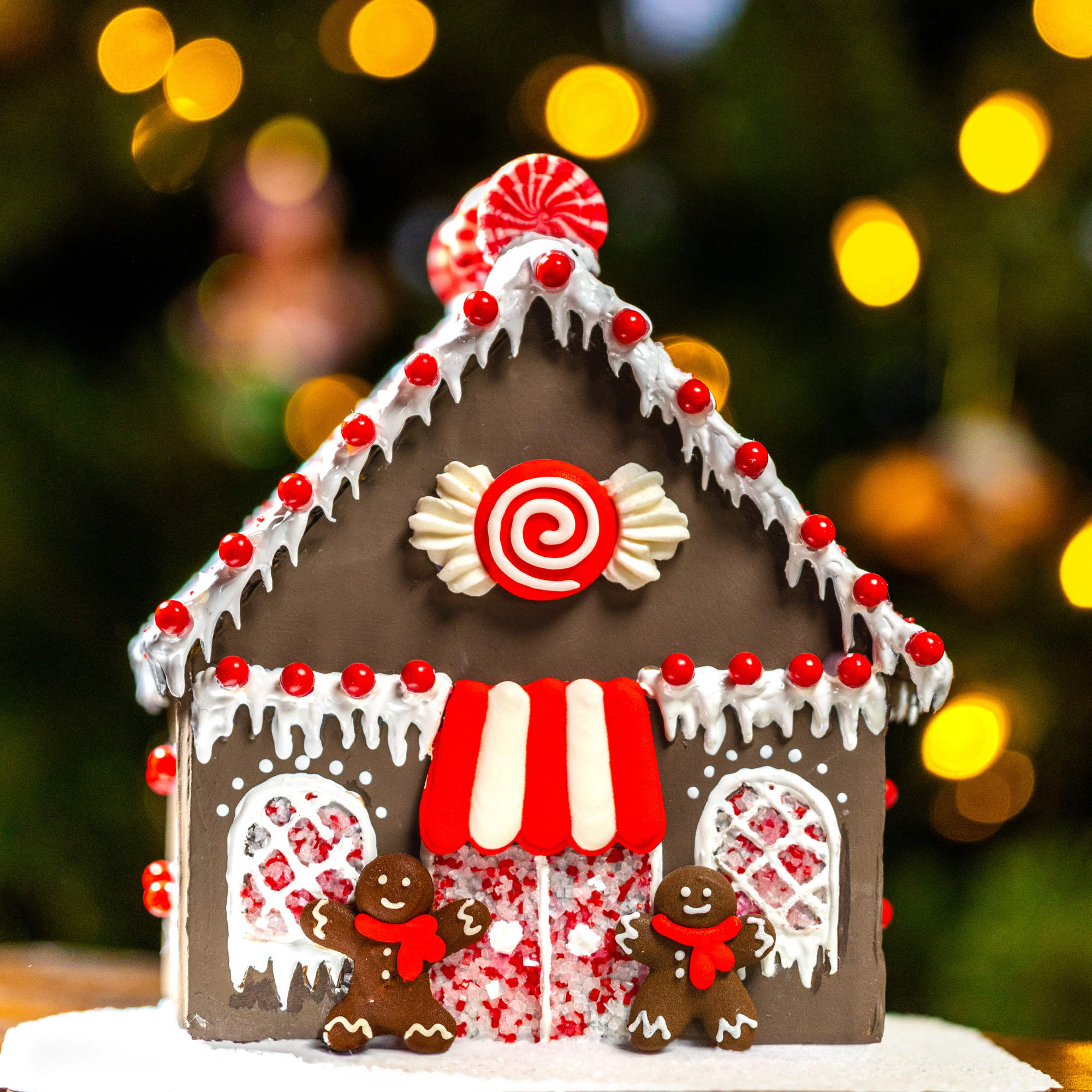 Magical Manor + Chocolate Peppermint Designer Insta-House™ Bundle