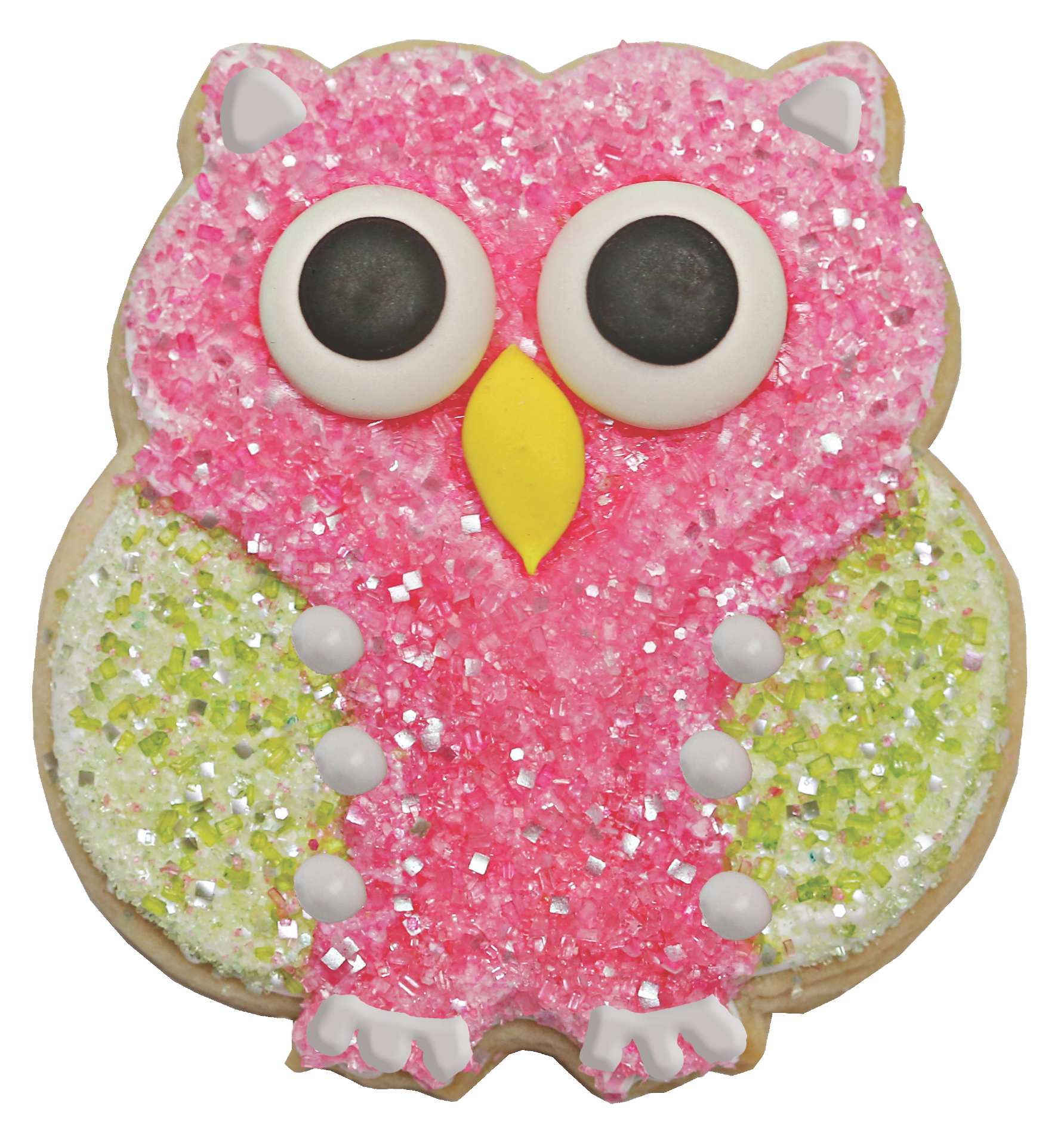 Owl Designer Cookie Kit