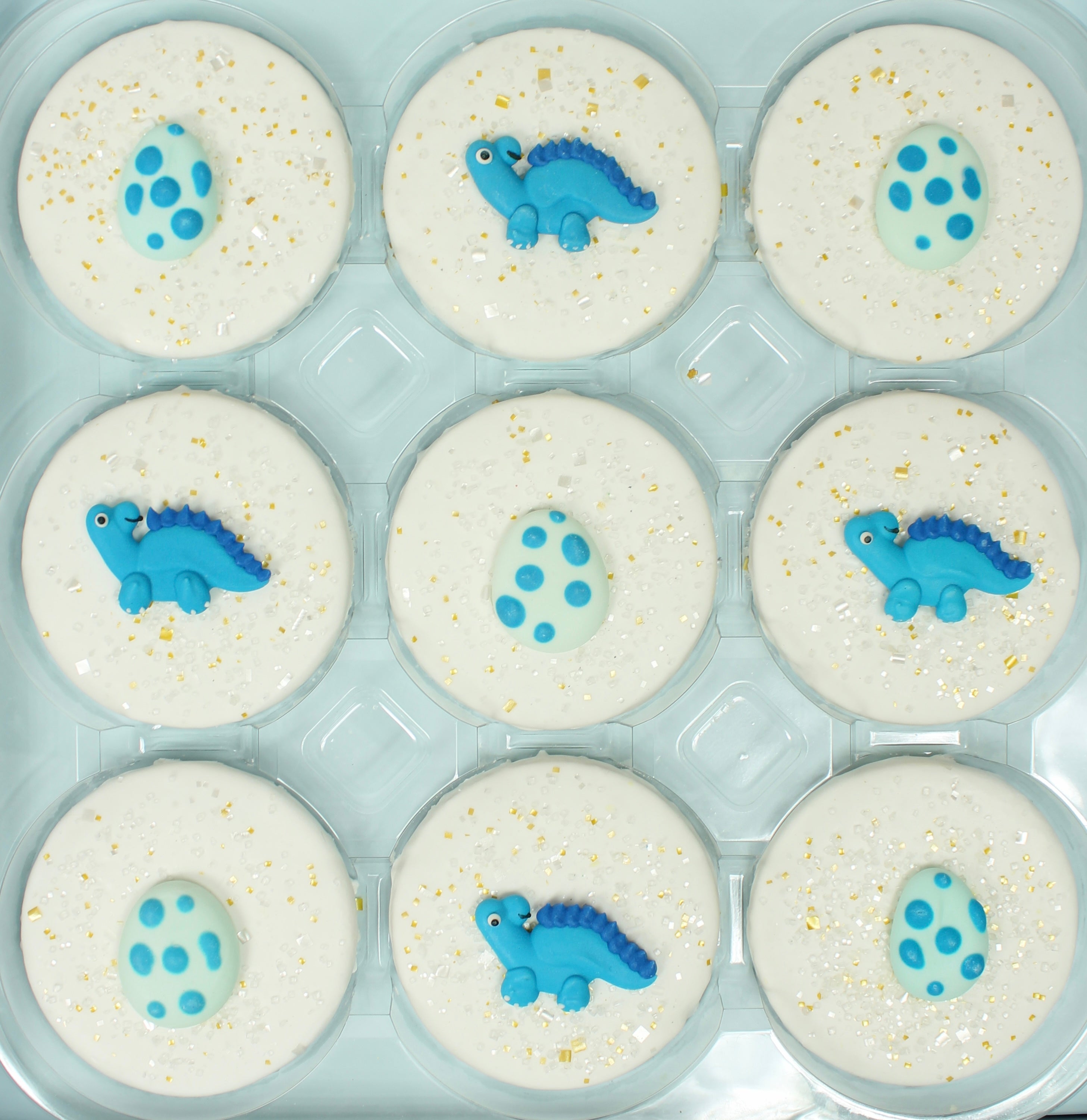 Blue Dinosaur Designer Decorated Cookies