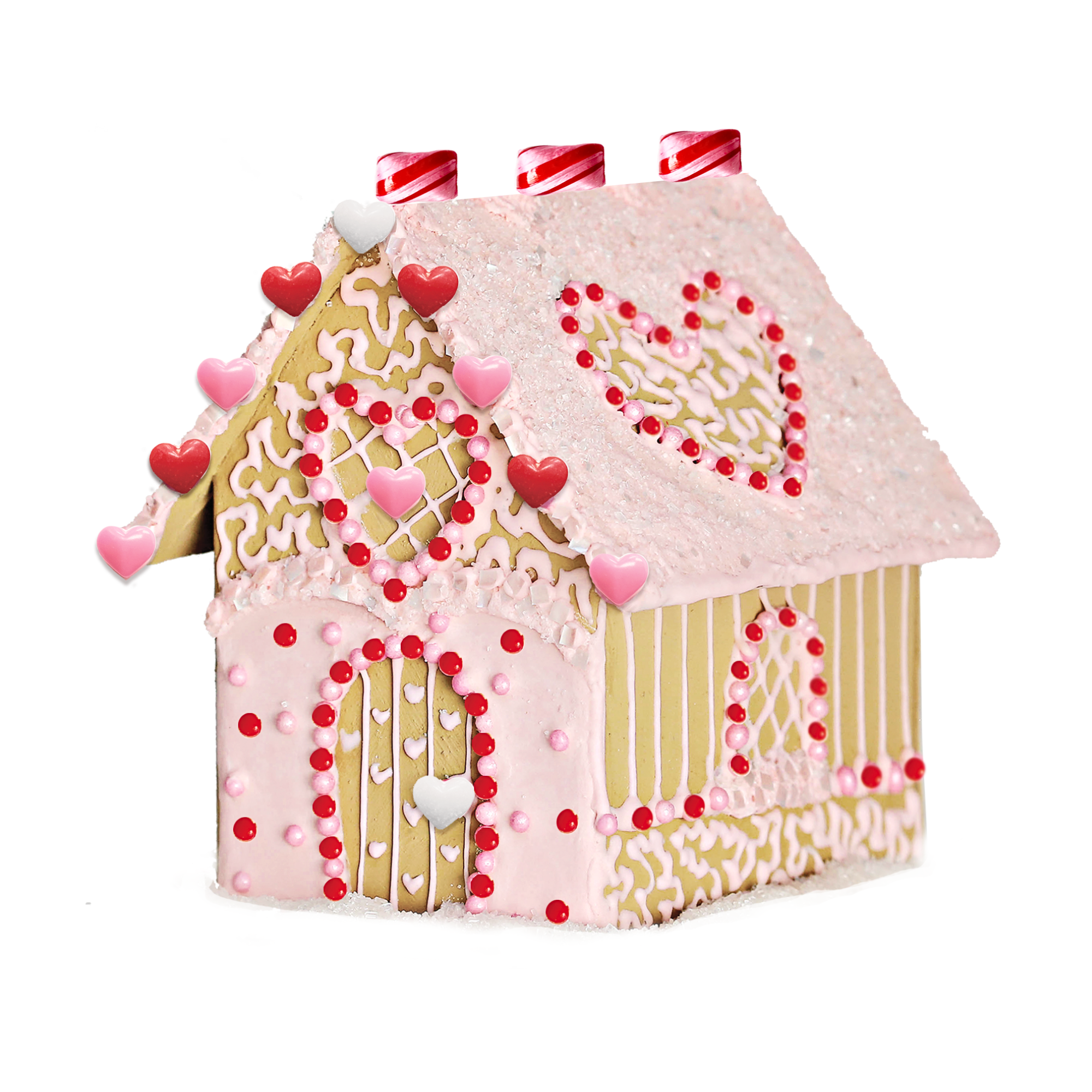 Designer Gingerbread House